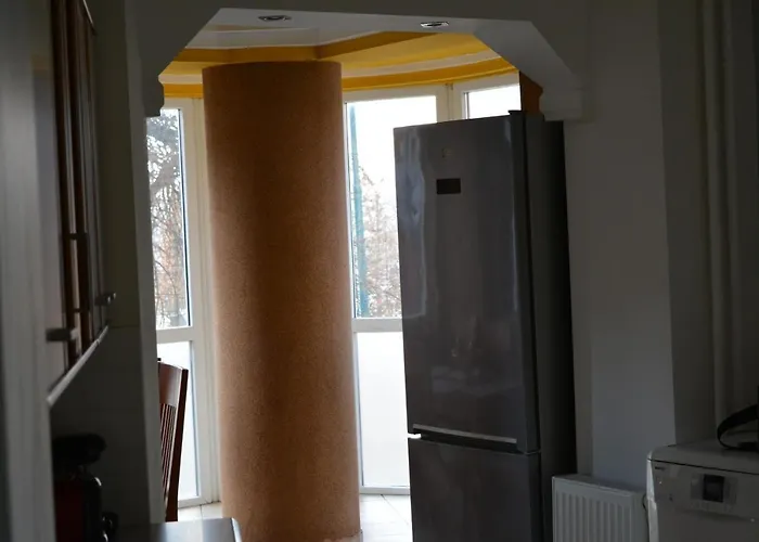 M@d Music * Timişoara